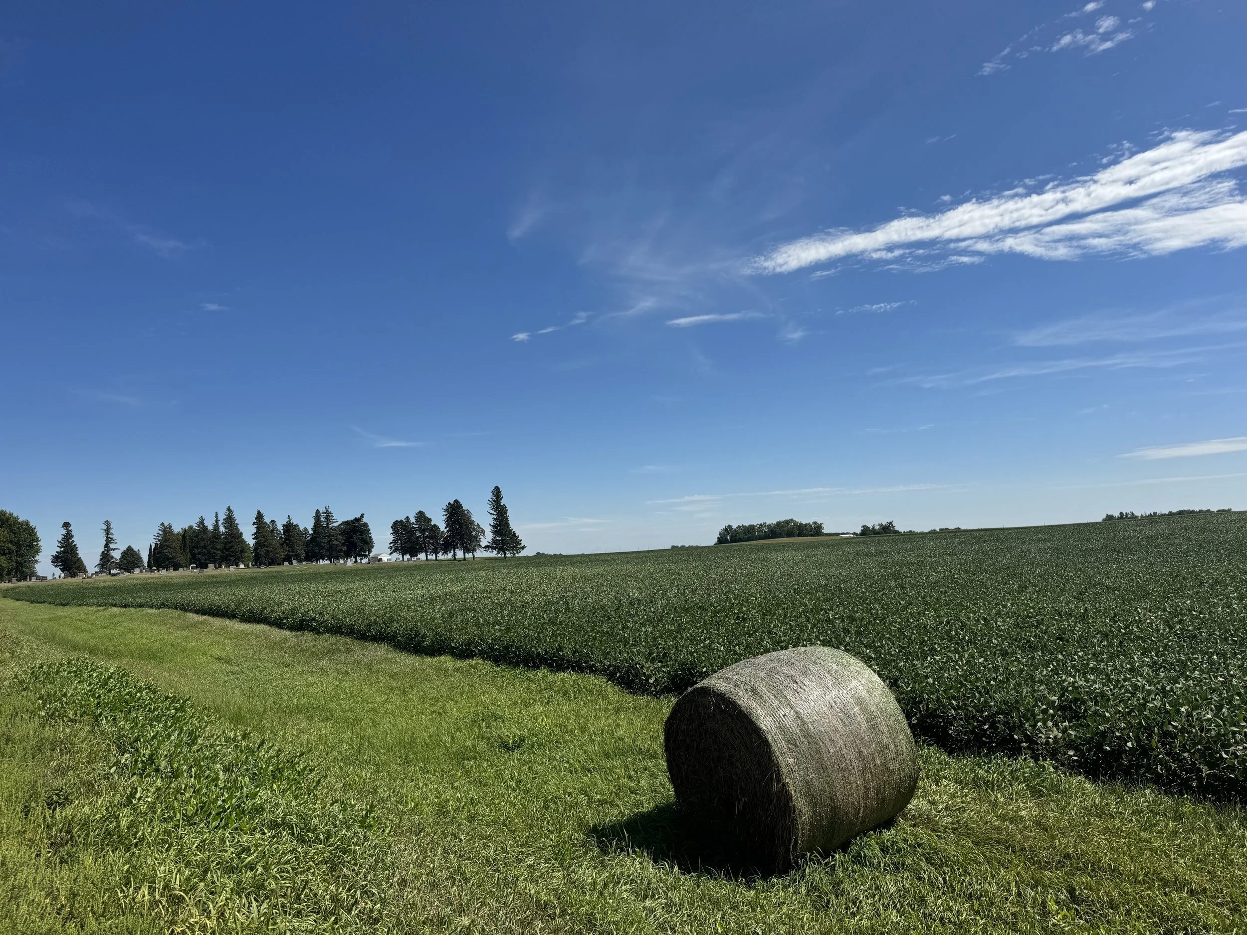 A wide open green field under a bright blue sky with scattered white clouds, dotted with trees and hay bales in the foreground.