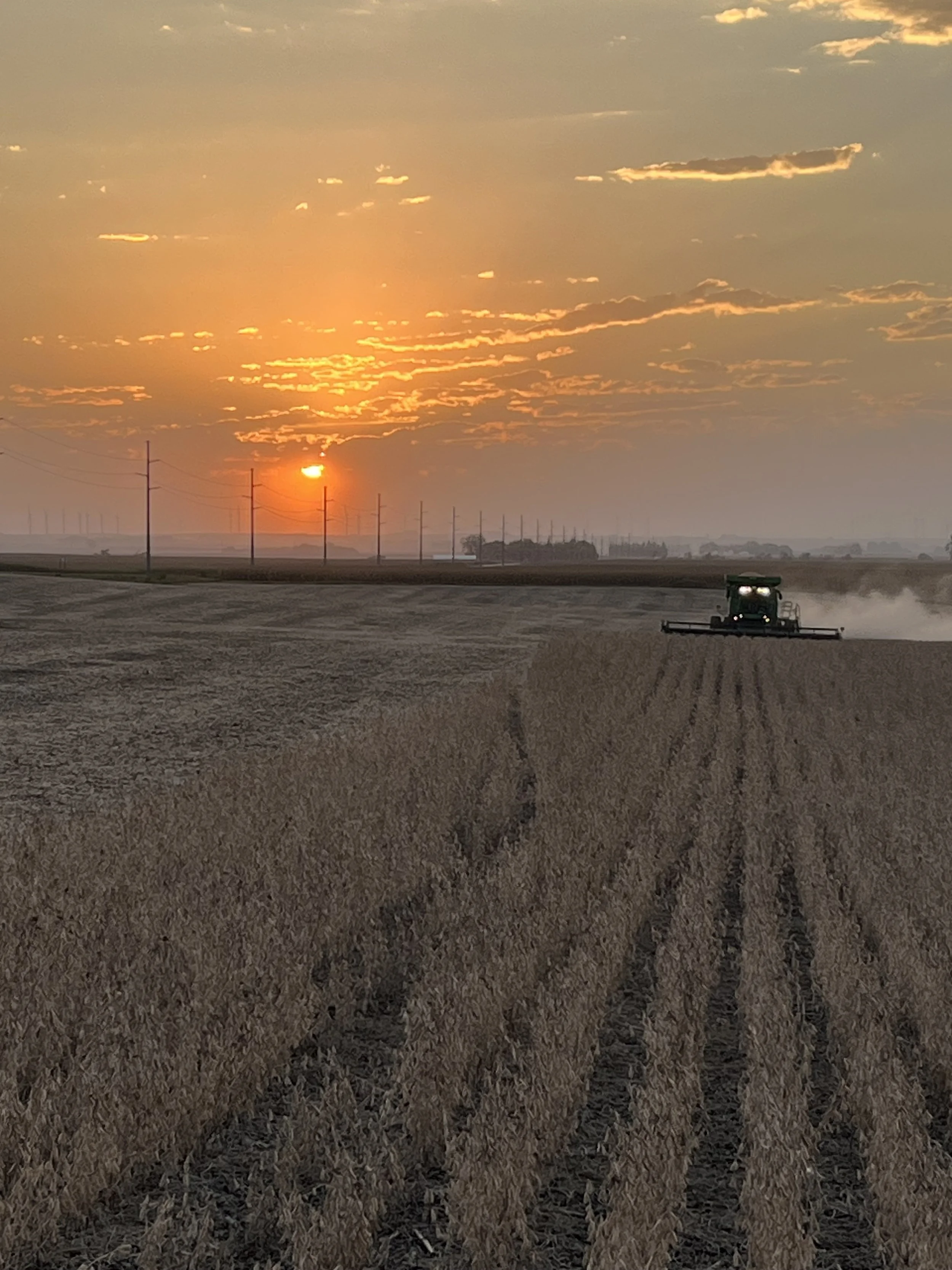 A tractor working in a field at sunset, with power lines and a partly cloudy sky overhead.