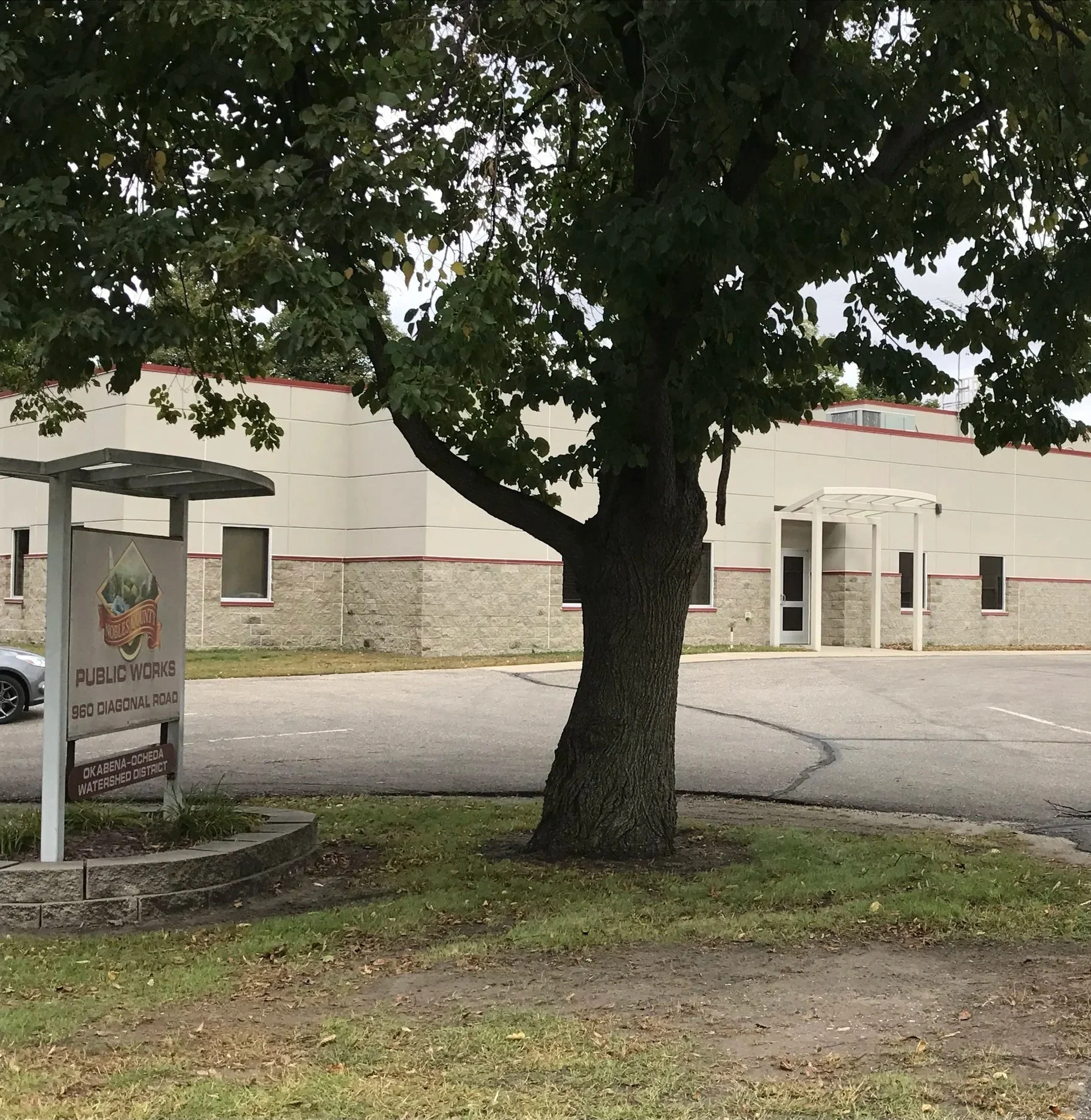 A tree with dense green leaves standing in front of a building, with a sidewalk and parking lot below. There is a sign for public works at a street corner, and part of a car is visible in the parking lot.