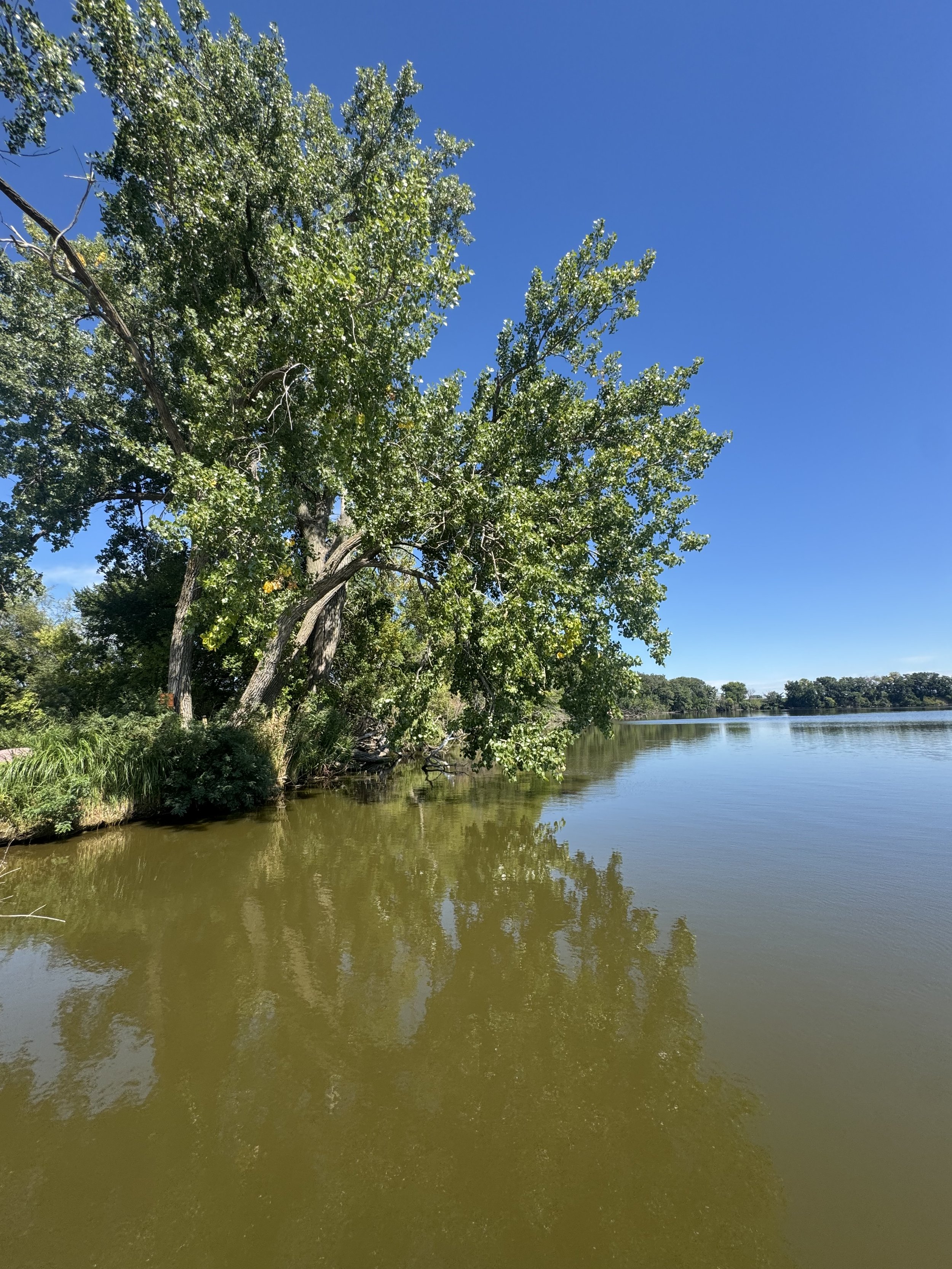 A tranquil river scene with calm water reflecting green trees and a clear blue sky, with more trees visible in the background.