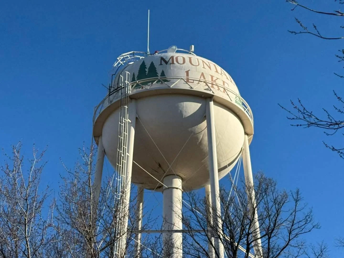 Water tower with Mount Lake sign and tree branches in foreground against blue sky.