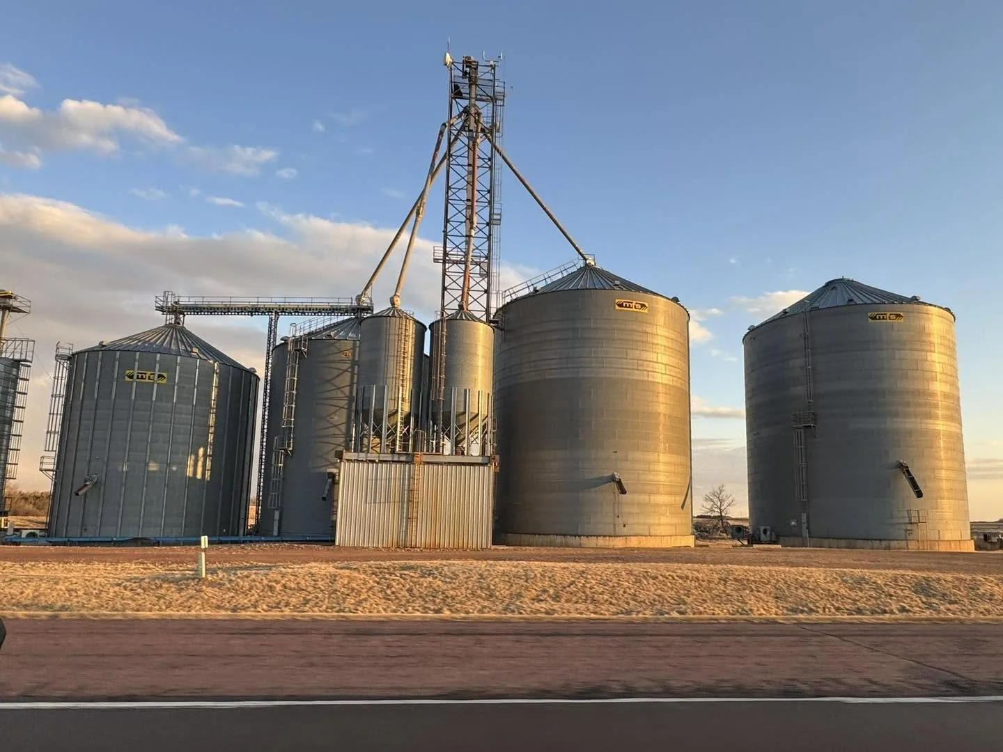 Four large metal grain silos, with a tower and pipes, illuminated by the setting sun, located in a rural area near a road.