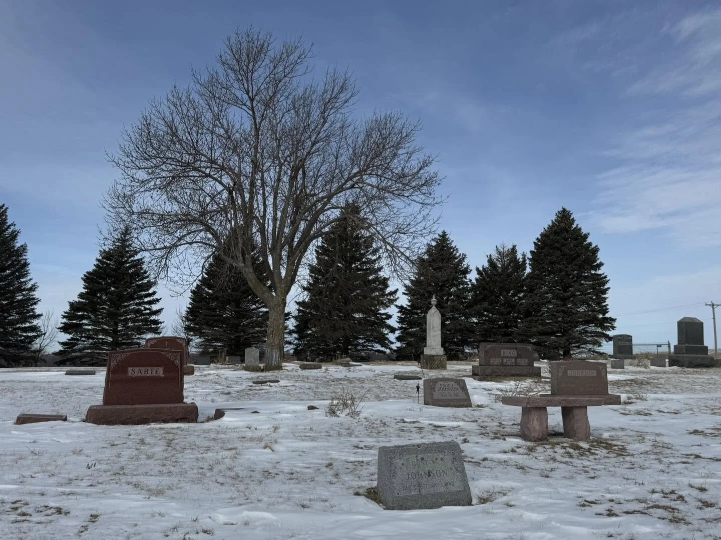 Snow-covered cemetery with gravestones, a large leafless tree, and several evergreen trees against a blue sky.