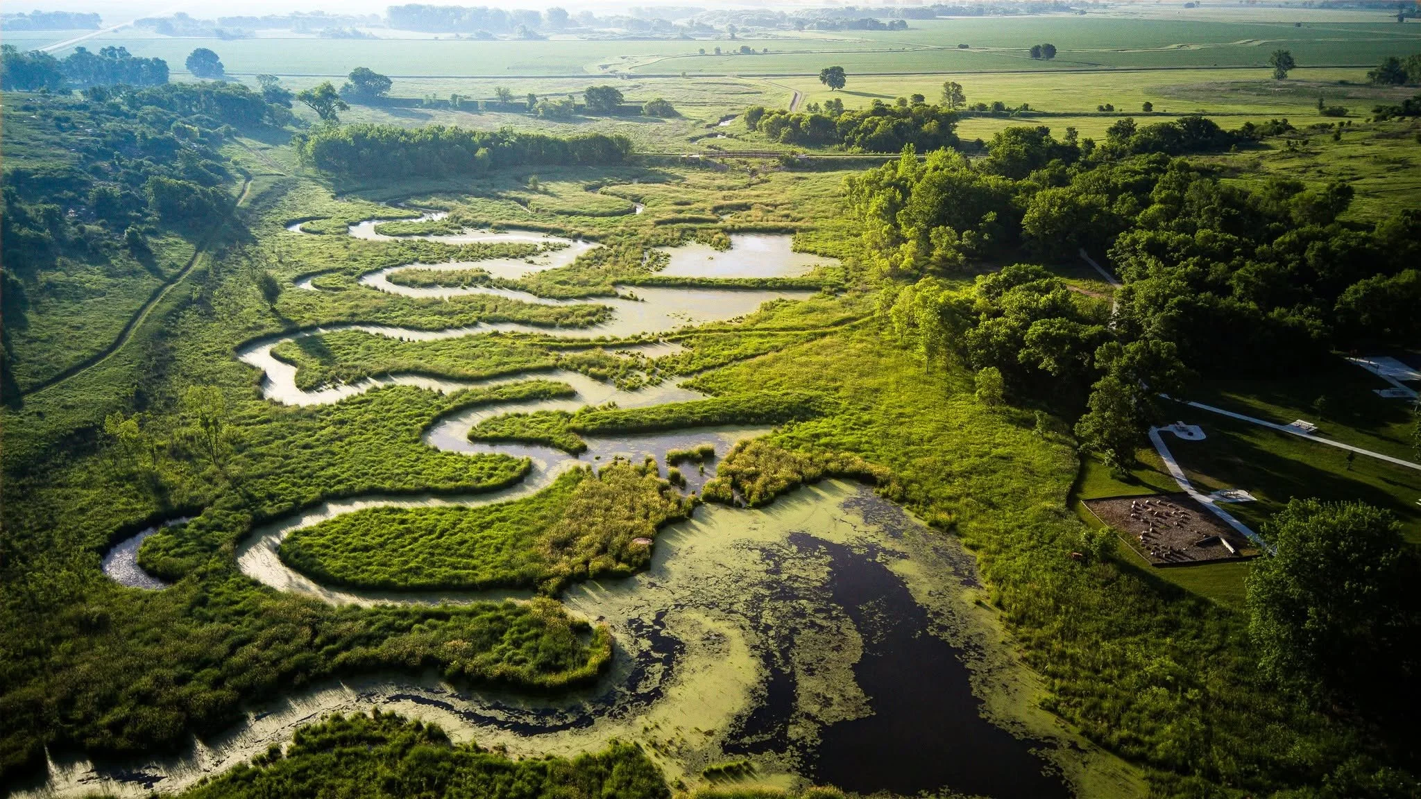 Aerial view of a winding river through lush green wetlands and grassy fields, with trees and open land in the background.