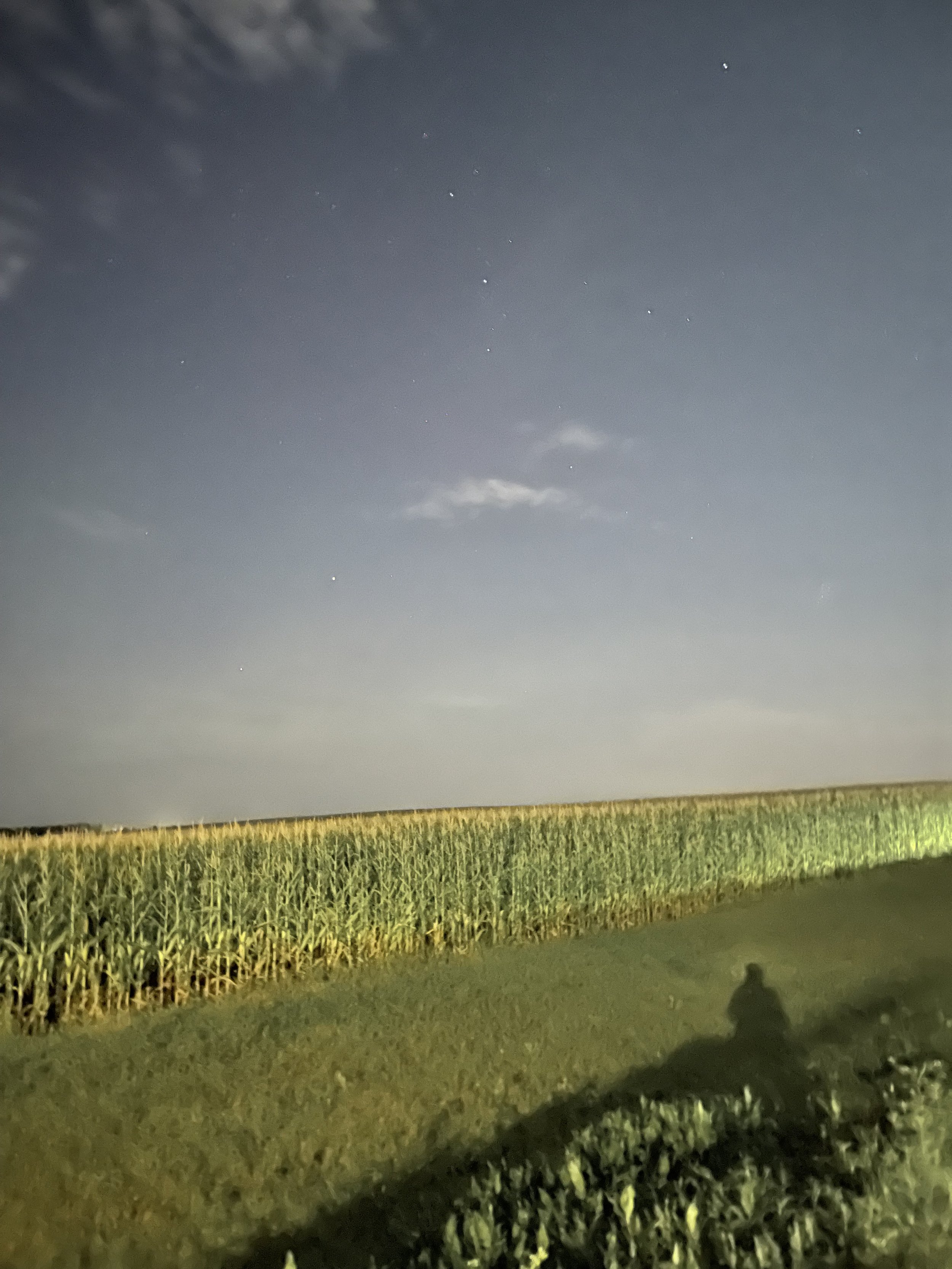 Nighttime scene of a field with tall crops, possibly corn, under a dark sky with some clouds and visible stars. Shadows of a person and a motorcycle are cast on the ground.