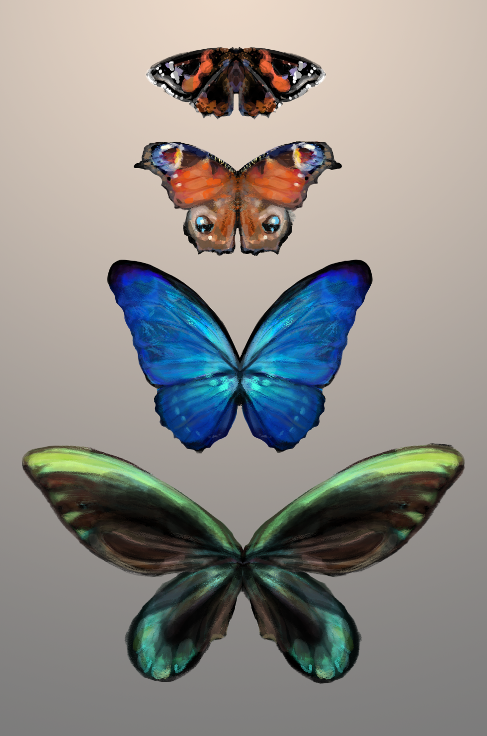 butterfly painted (1).png