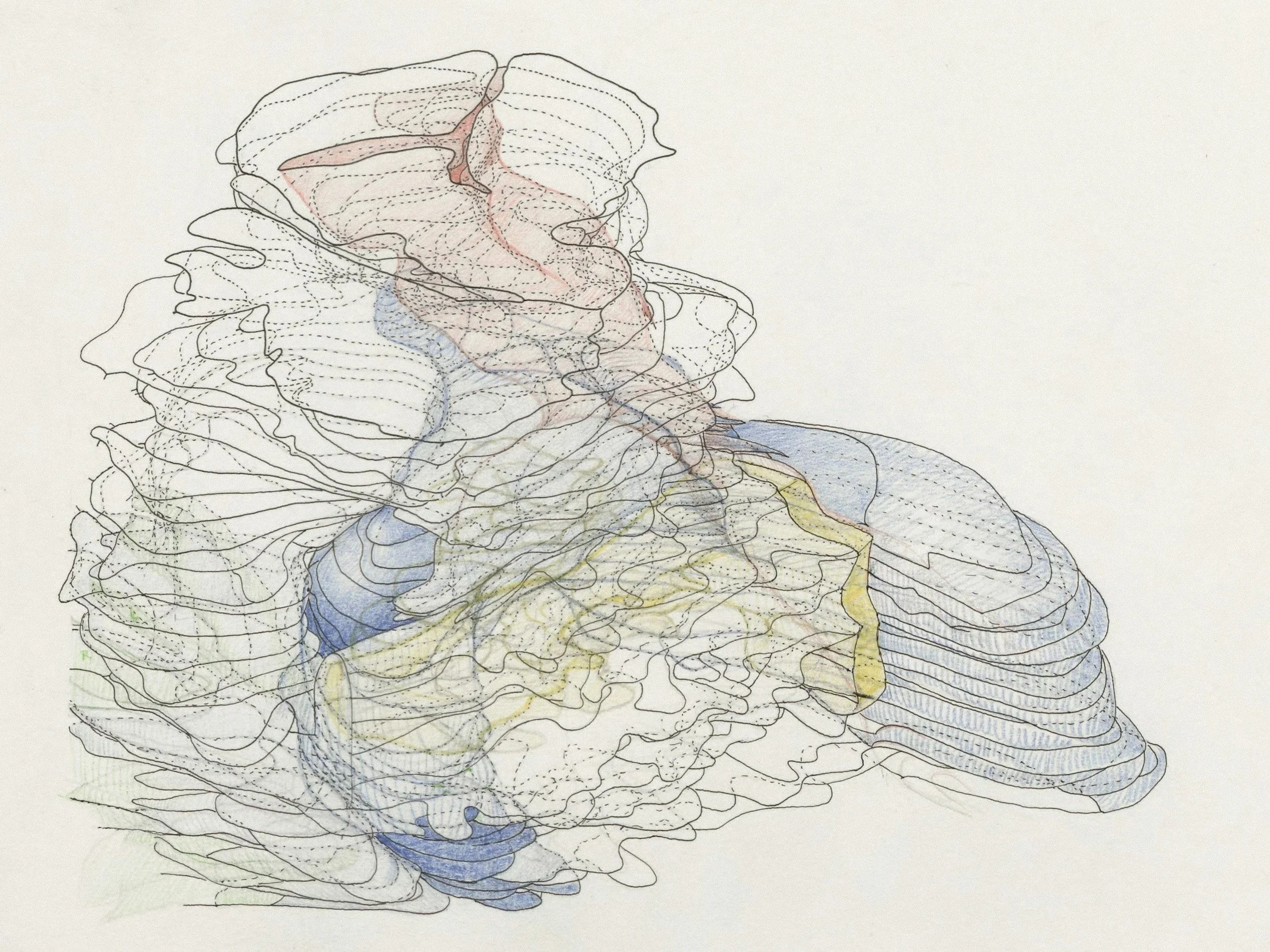 Line drawing of a human brain with colored regions and pathways.
