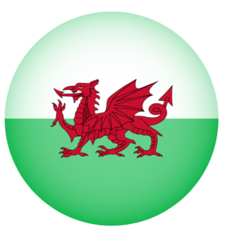 Flag featuring a red dragon on a green and white background