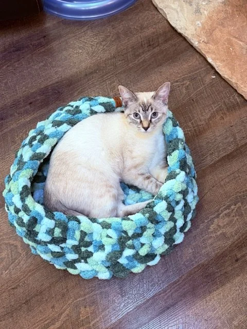 Pet Beds