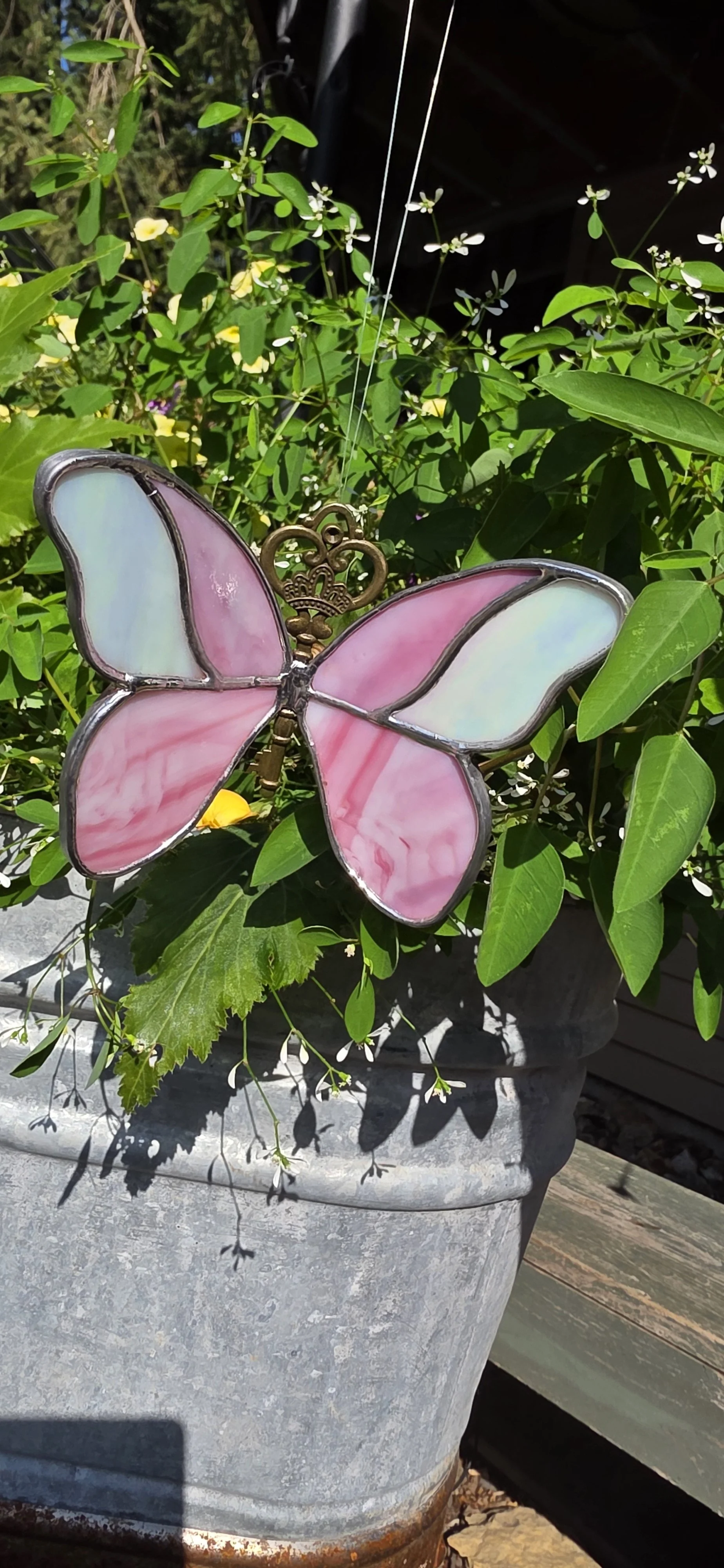 Butterfly Key Class 9/12/26