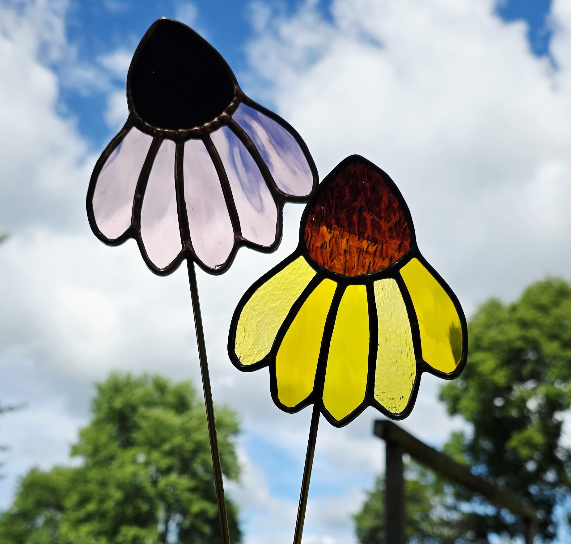 Cone Flower Class 9/25/26