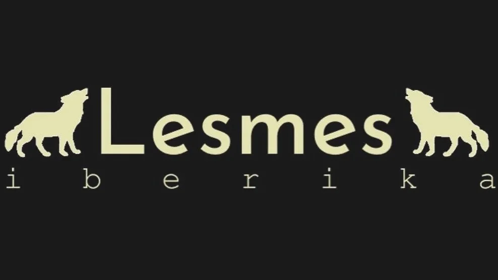 Imagen comercial de Lesmes iberika fontanería y climatización en Alicante