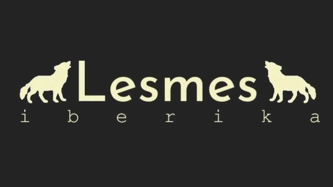Imagen comercial de Lesmes Iberika fontanería y climatización en Alicante