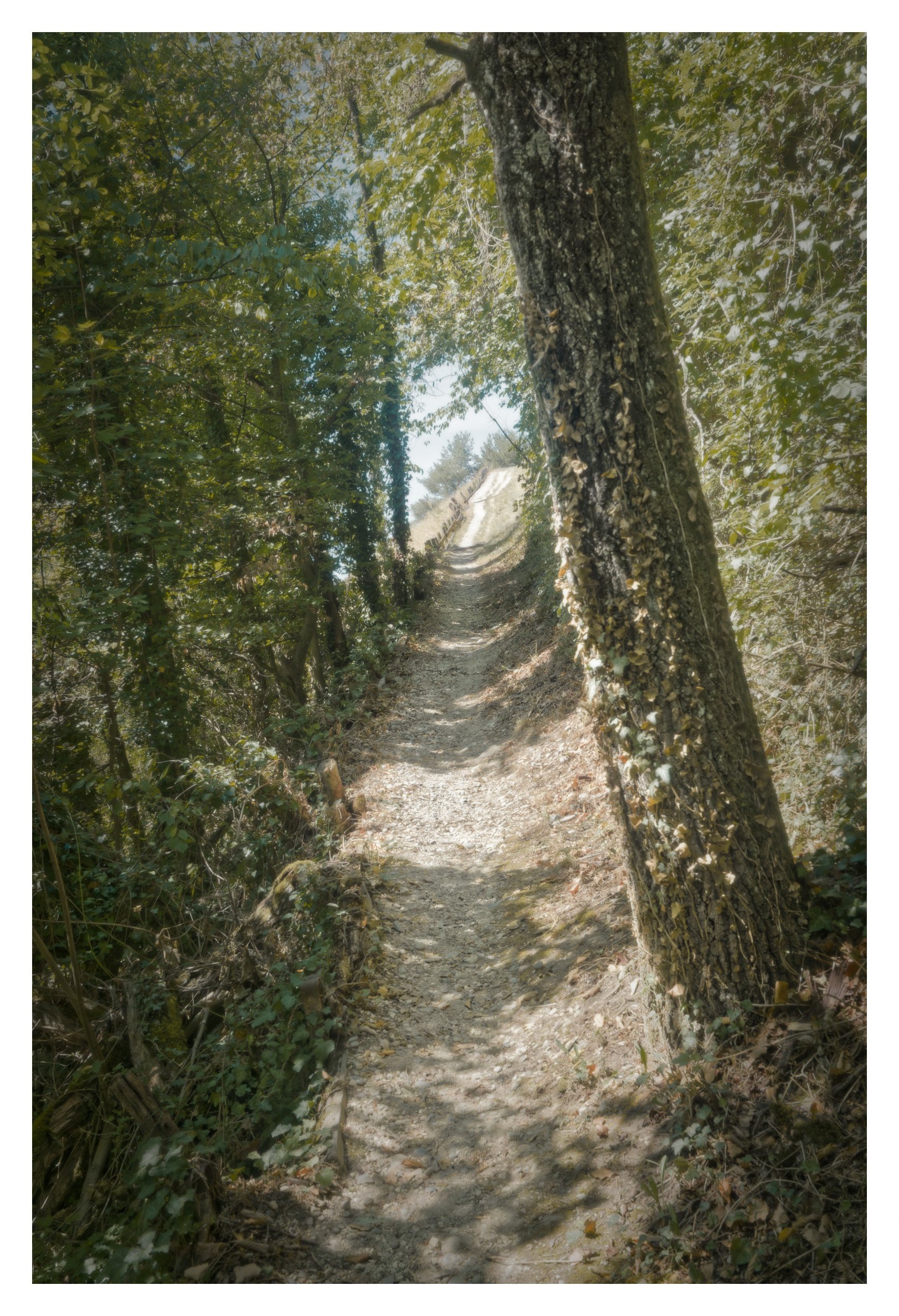 f/8 · 1/90s · ISO 160 · 24mm (36 mm) · Sony 2.8/16–50mm SSM