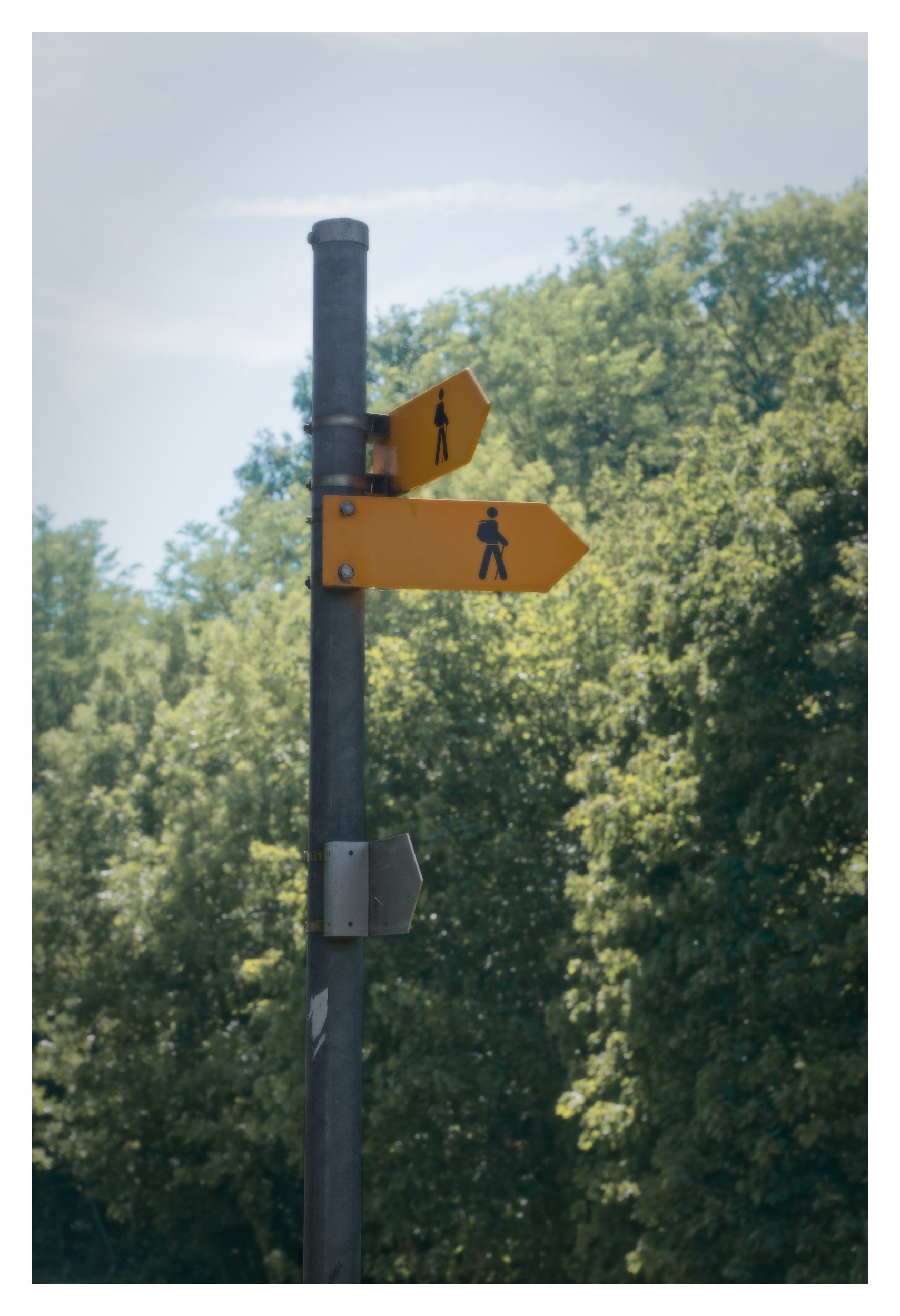 f/5.6 · 1/200s · ISO 160 · 40mm (60 mm) · Sony 2.8/16–50mm SSM