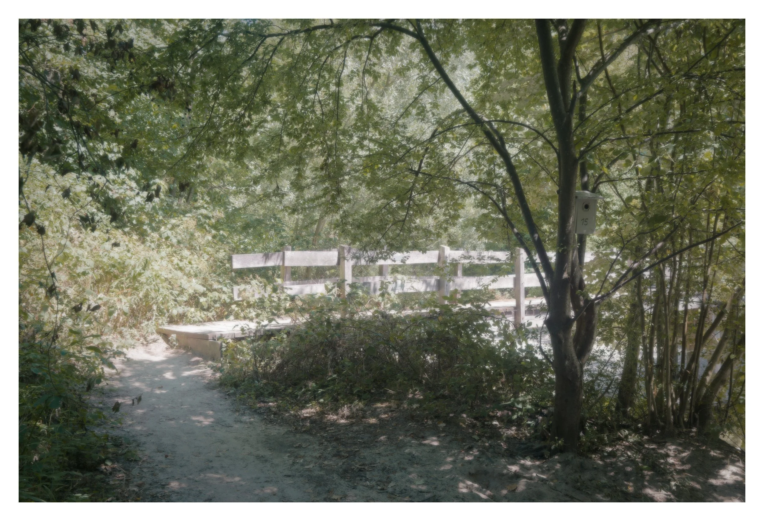 f/4.5 · 1/60s · ISO 125 · 22mm (33mm) · Sony 2.8/16–50mm SSM