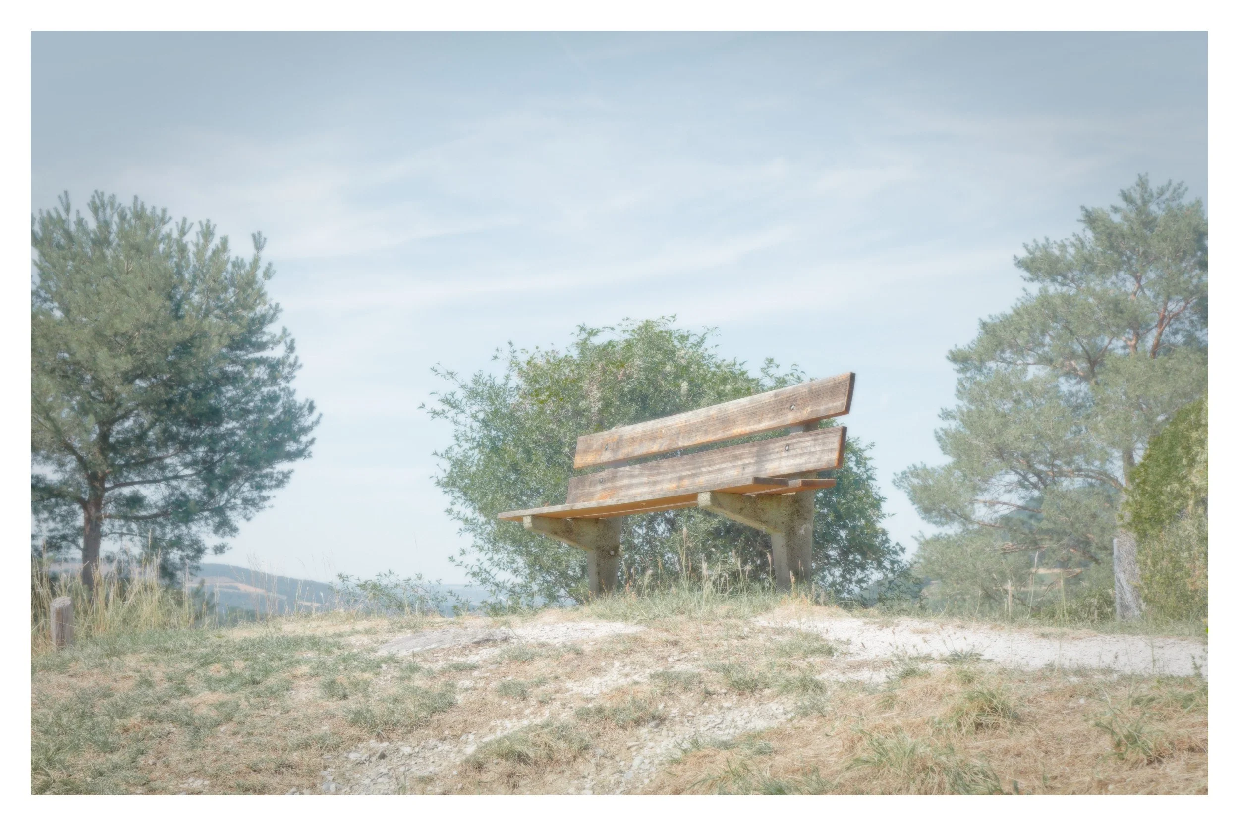 f/8 · 1/350s · ISO 250 · 35mm (52.5 mm) · Sony 2.8/16–50mm SSM