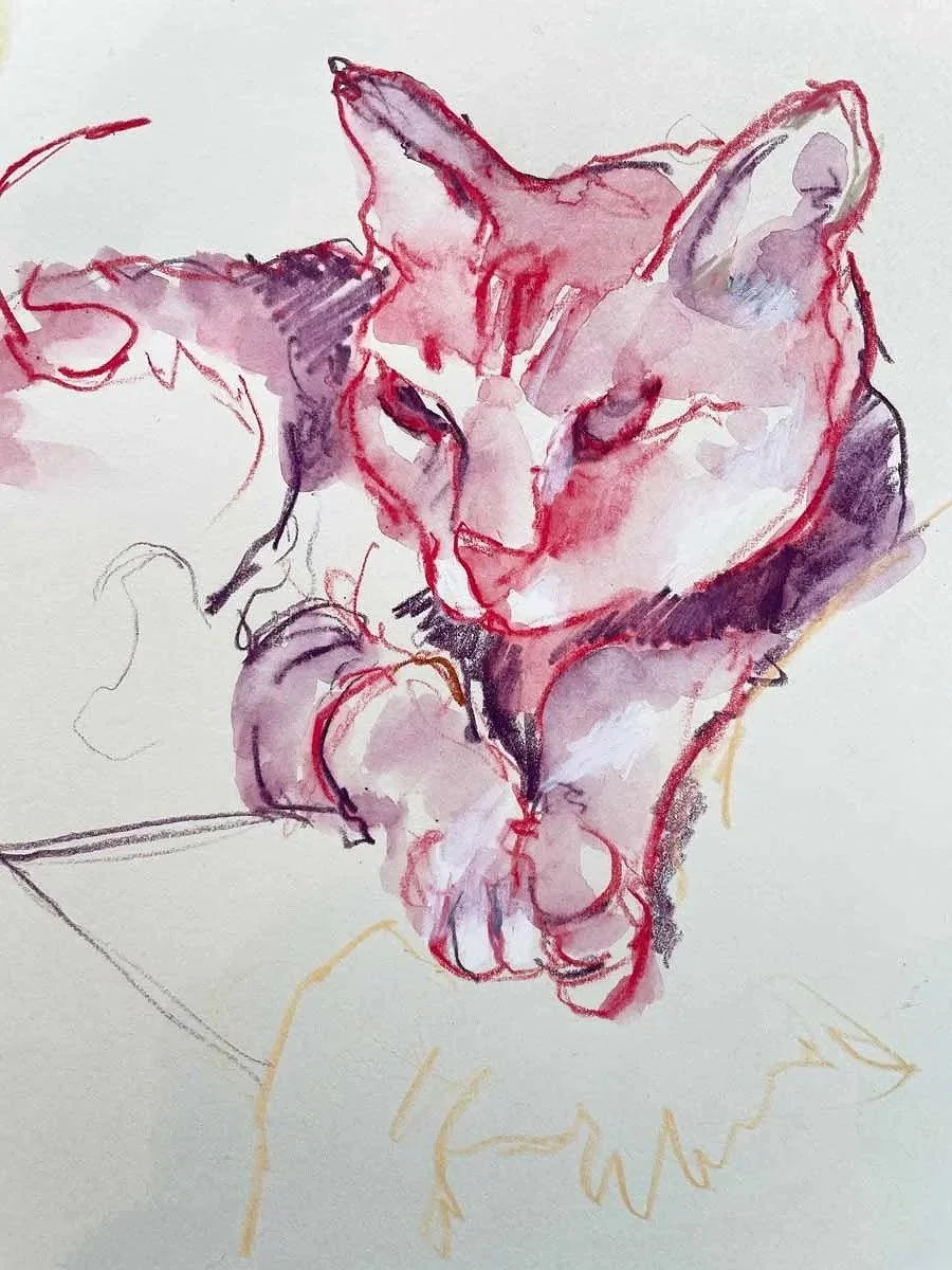 A watercolor sketch of a cat sleeping, with closed eyes and paws tucked in, featuring shades of pink, purple, and black.