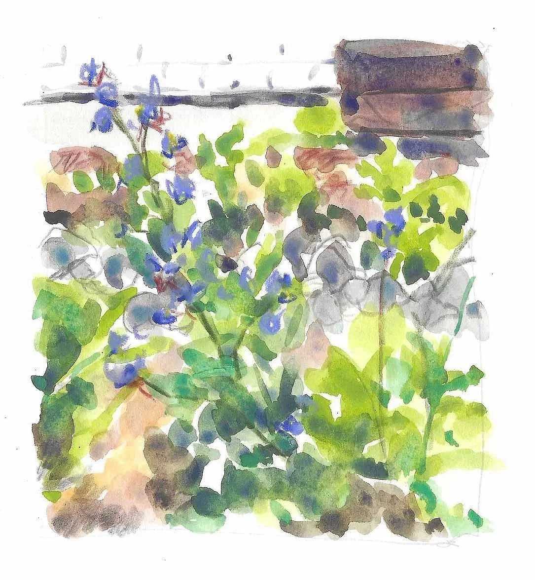 Watercolor painting of a garden with green foliage, purple flowers, and a brown wooden structure in the background.