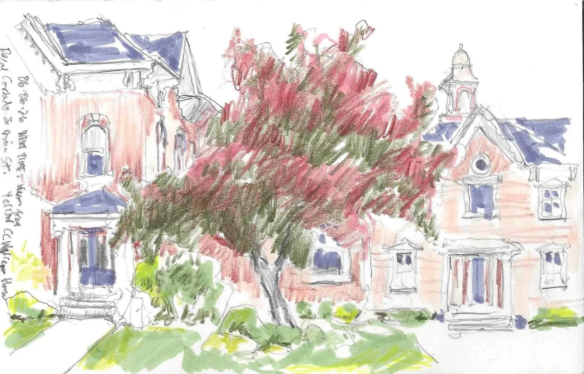 A watercolor sketch of a red brick Victorian-style house with a large pink and green blooming tree in front.