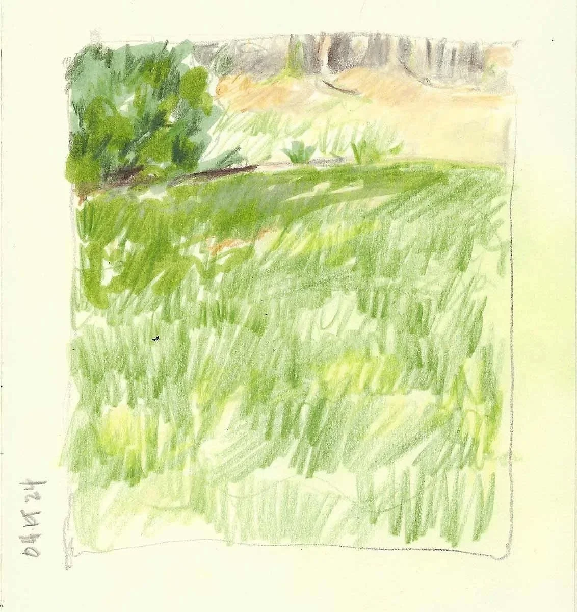 A small, colorful landscape drawing with green grass, trees, and a sky in the background.