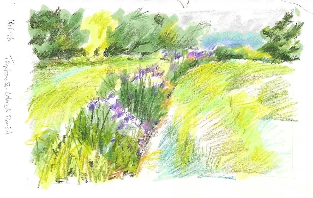 A colorful watercolor sketch of a lush grassy path with purple flowers, trees in the background, and a blue sky.