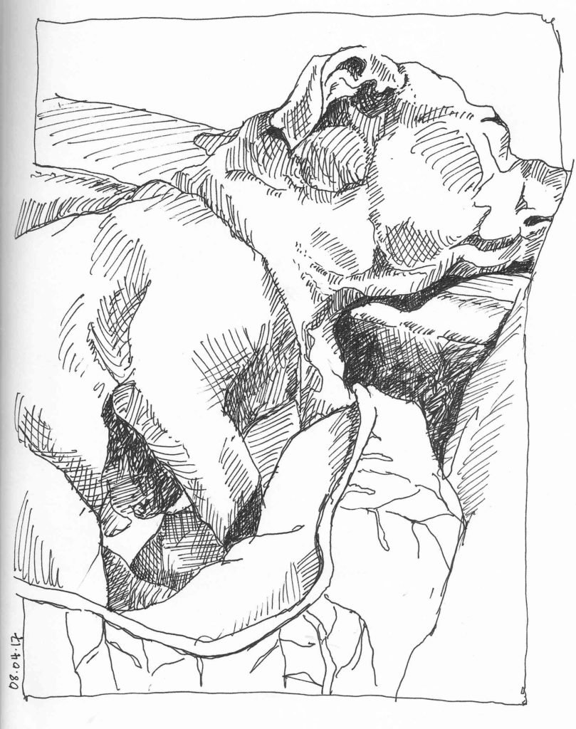 Dog Days of Summer