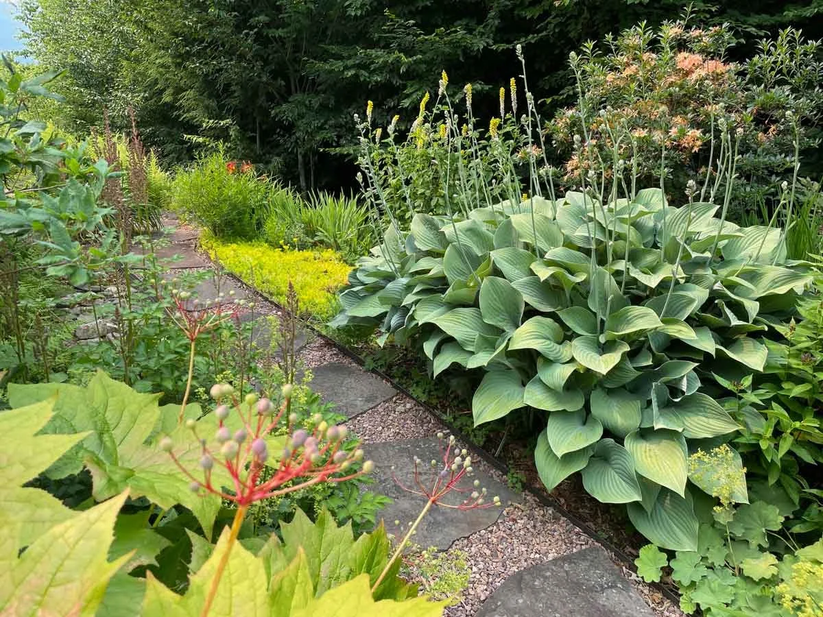 Back Garden Path
