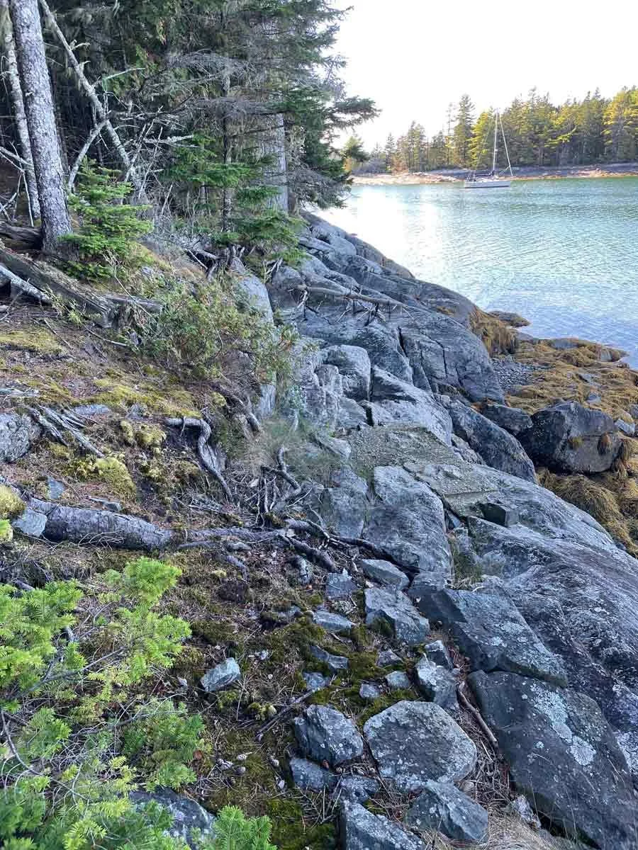 Acadia Shoreline