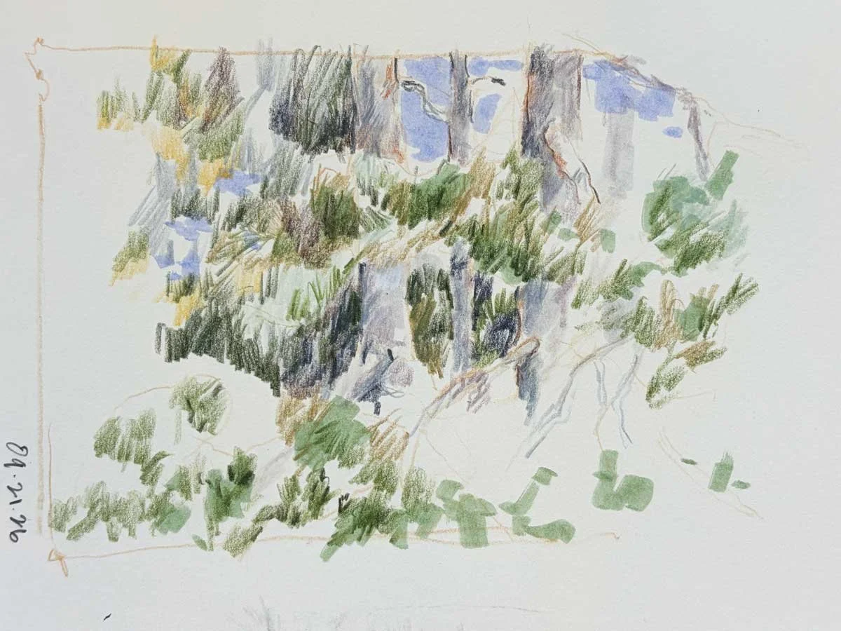 Mixed-media Tree Sketch