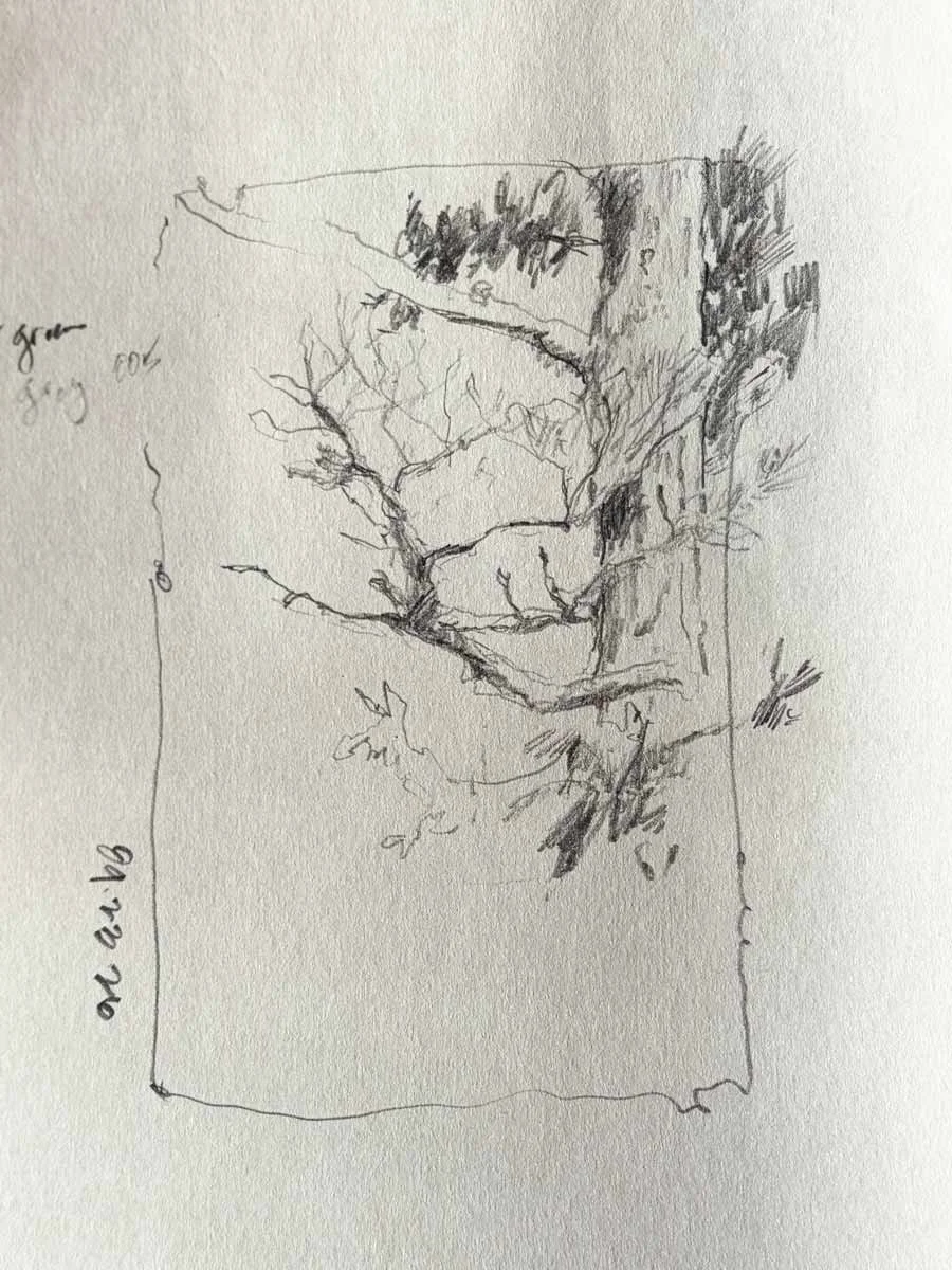 Pencil Tree Sketch