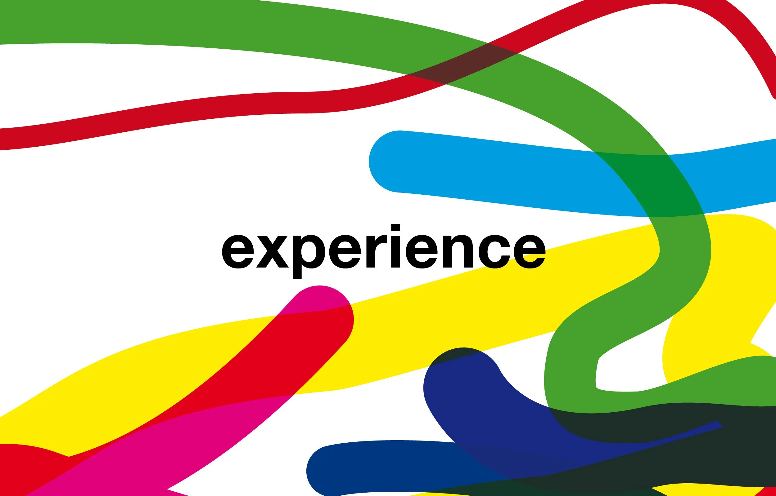 Bunt verzierte abstrakte Linien mit dem Wort "experience" in Schwarz
