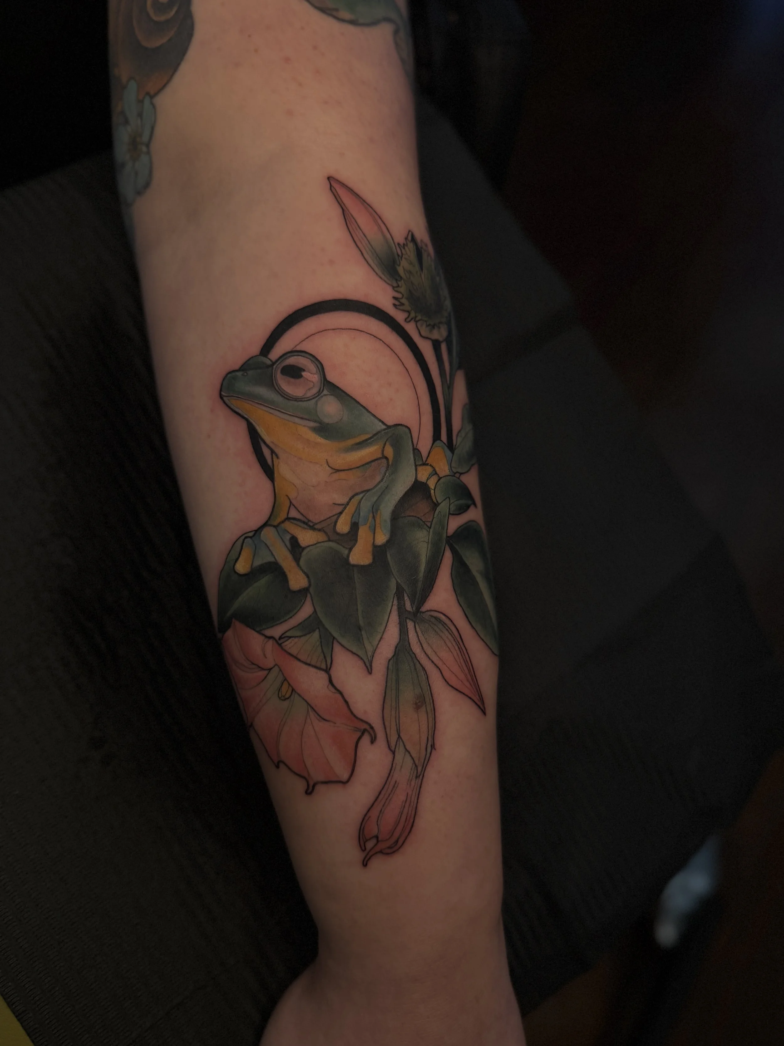 Illustrative Frog and Floral