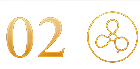 Gold-colored symbols: '02' and a network icon on a black background.