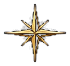 A gold star-shaped ornament with a black background.