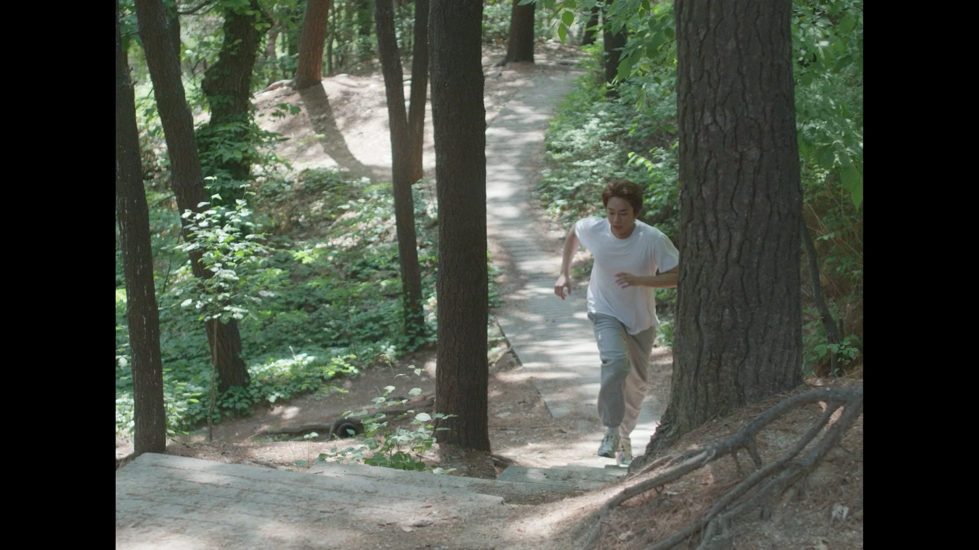 A person running on a forest trail surrounded by trees and greenery in a wooded area.