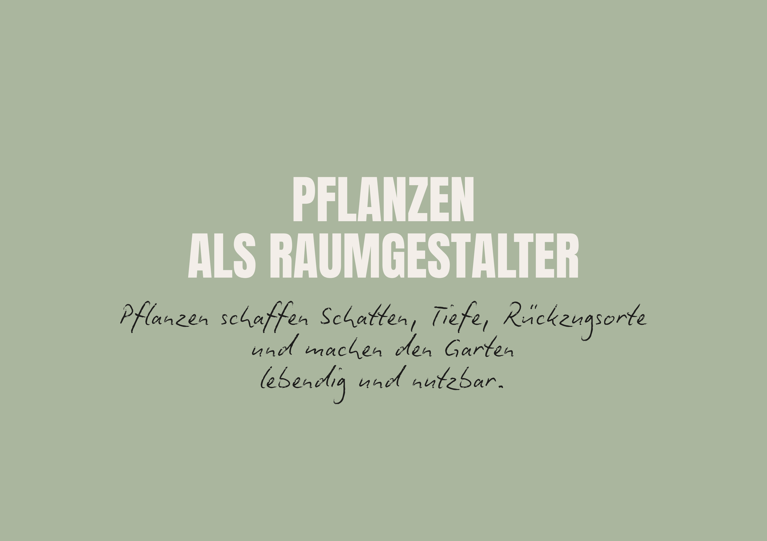 Text auf Bild: Pflanzen als Raumgestalter