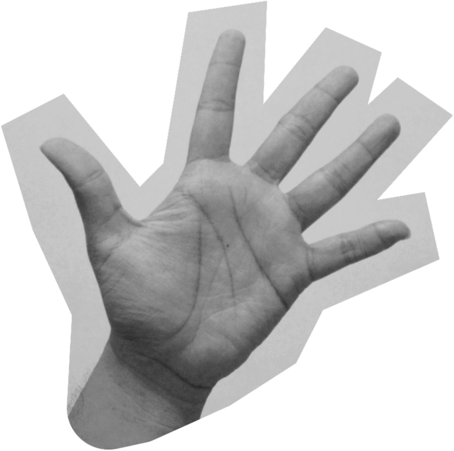 fünf finger