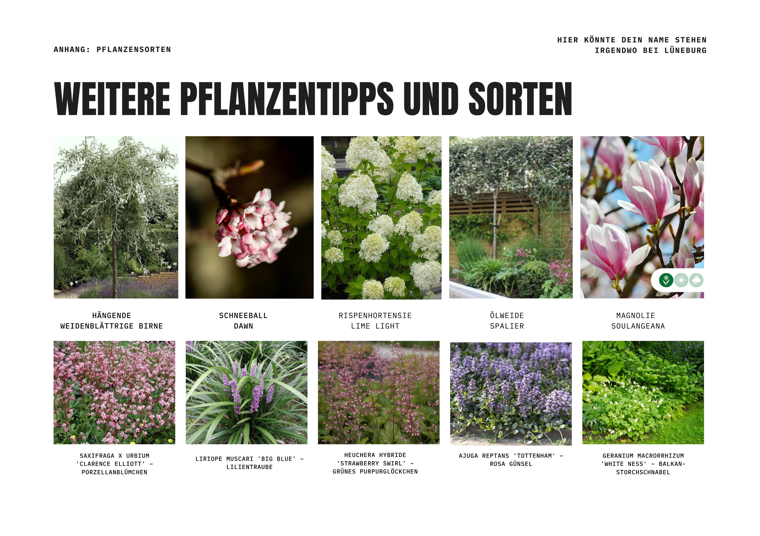 Pflanzen Sortentipps