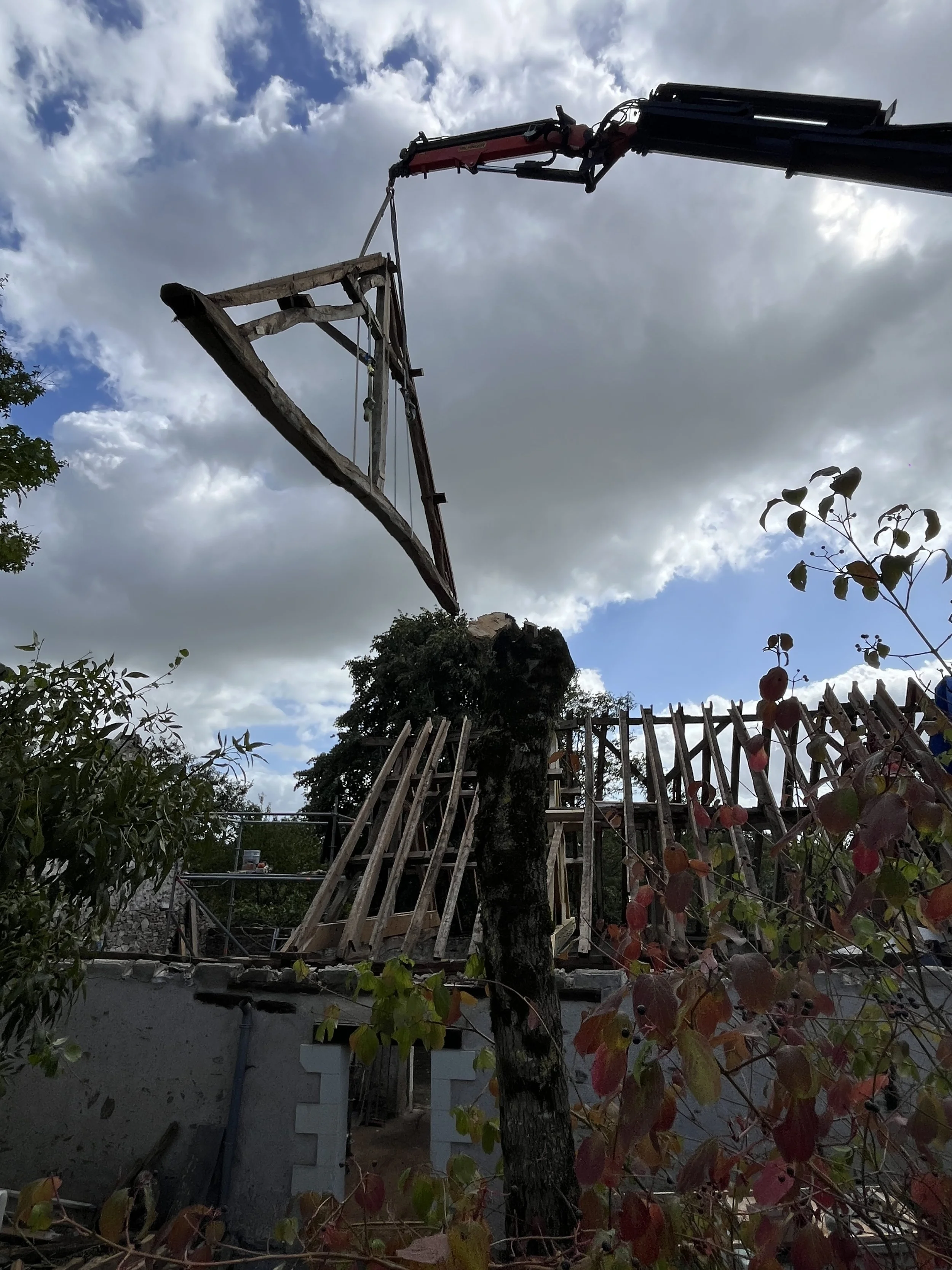 Une grue élève une grande pièce de bois ou de métal au-dessus d'une zone avec des arbres et une construction en cours, sous un ciel nuageux.