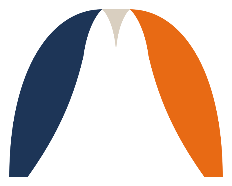 Bridging strategy and execution: Paired curved shapes, one dark blue and one orange, forming a symmetrical design against a light background.