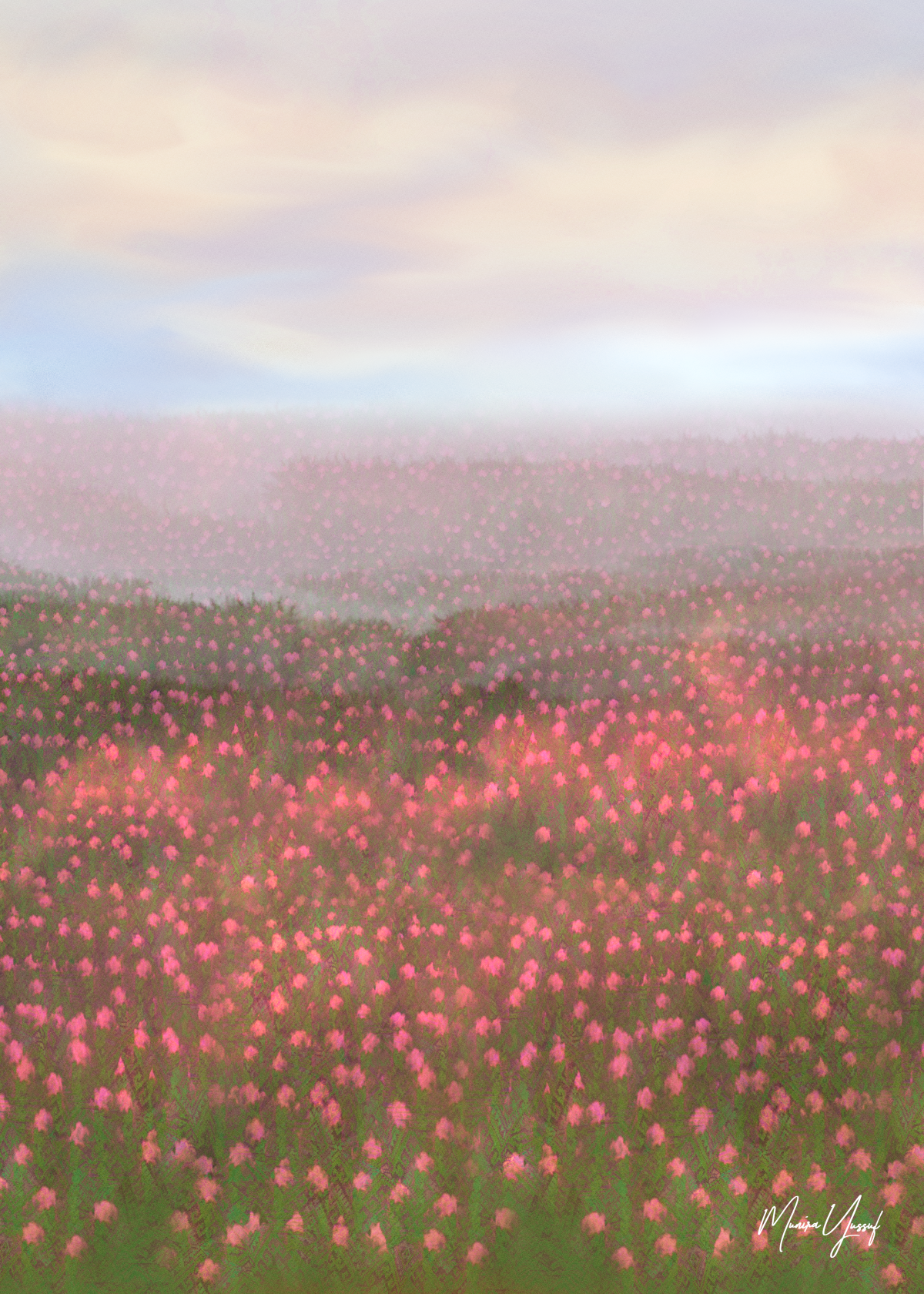 Field.png