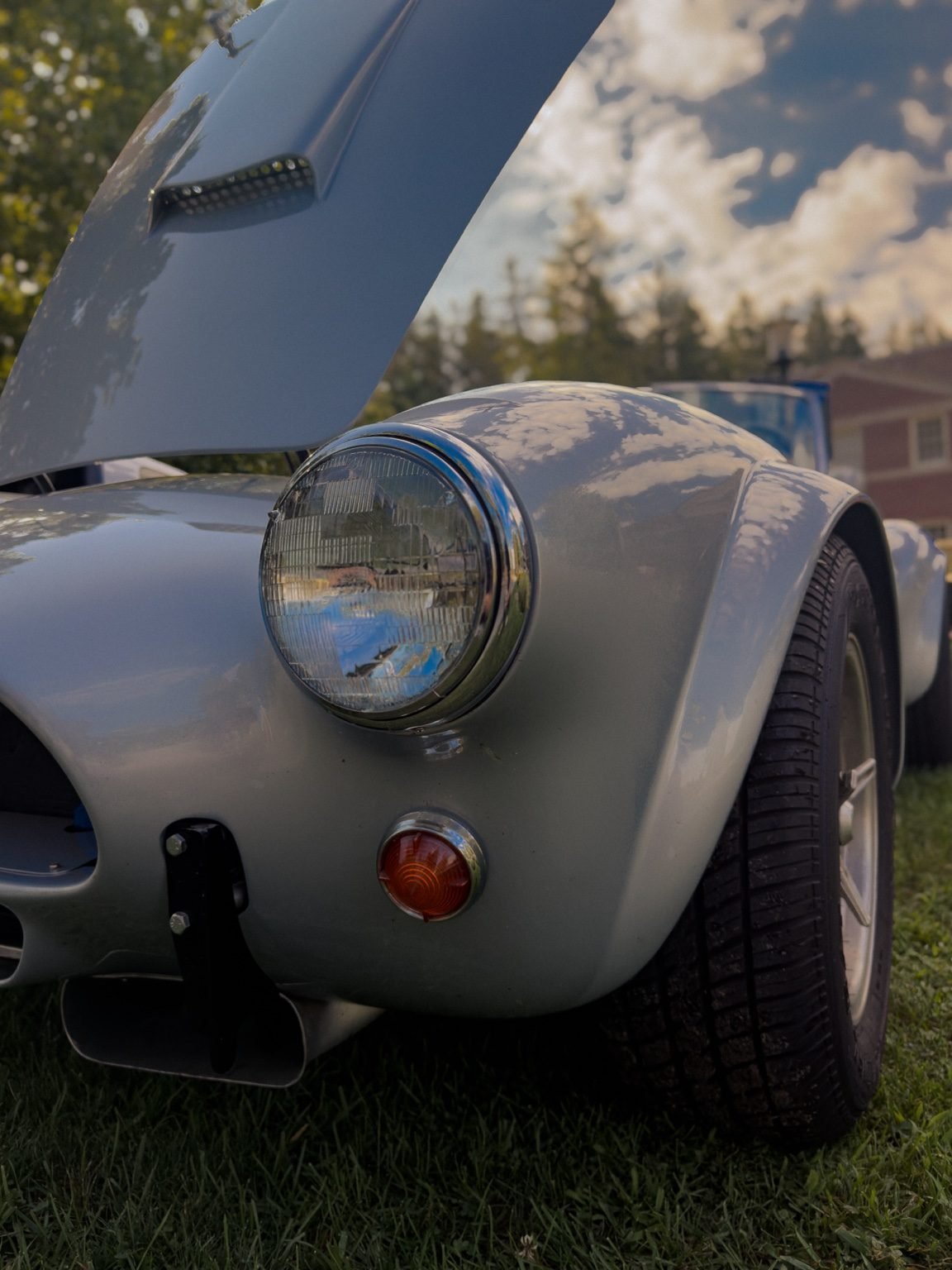 cobra_3.jpg