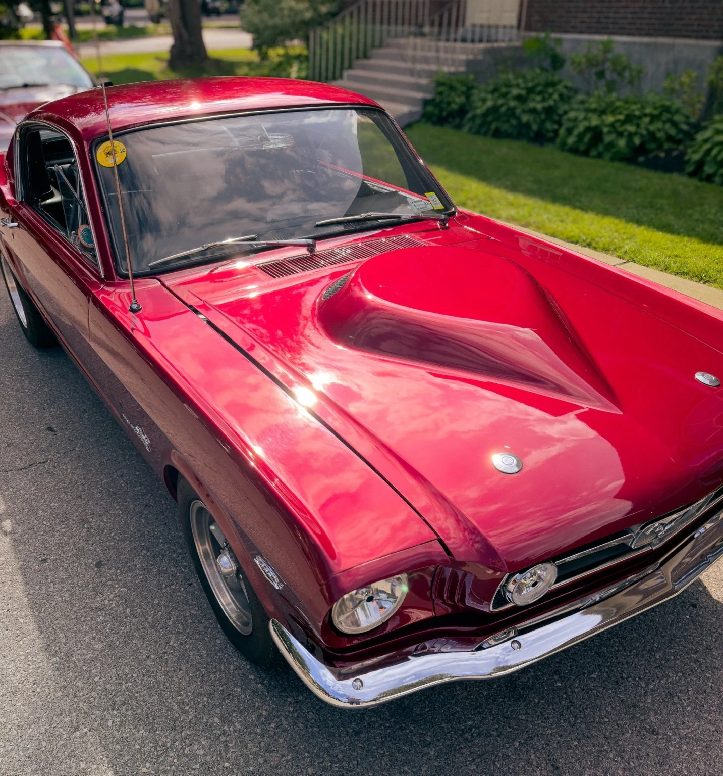 car_photo_06.jpg