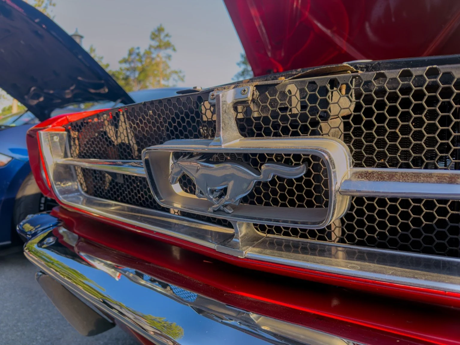 car_photo_09.jpg