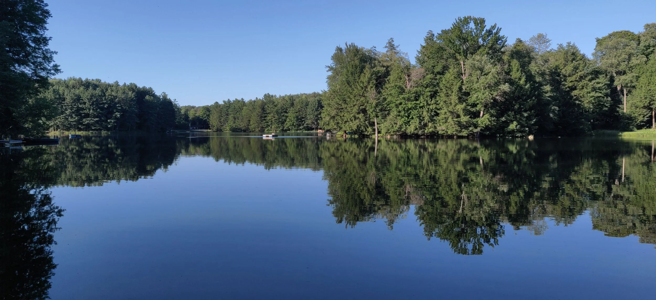 A calm lake surrounded by dense green trees, with clear blue sky reflected on the water's surface.