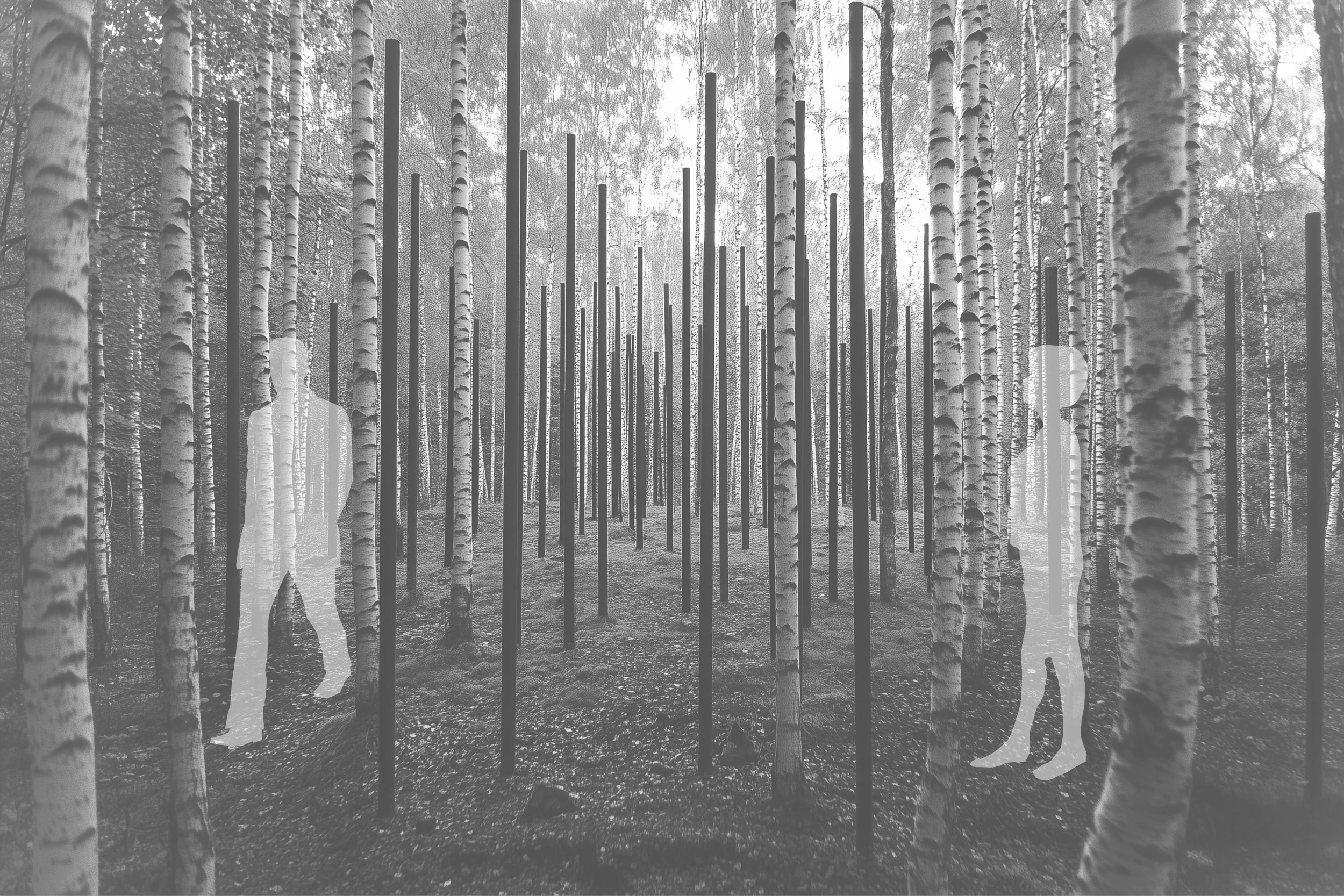 476 Bilder_wald.jpg