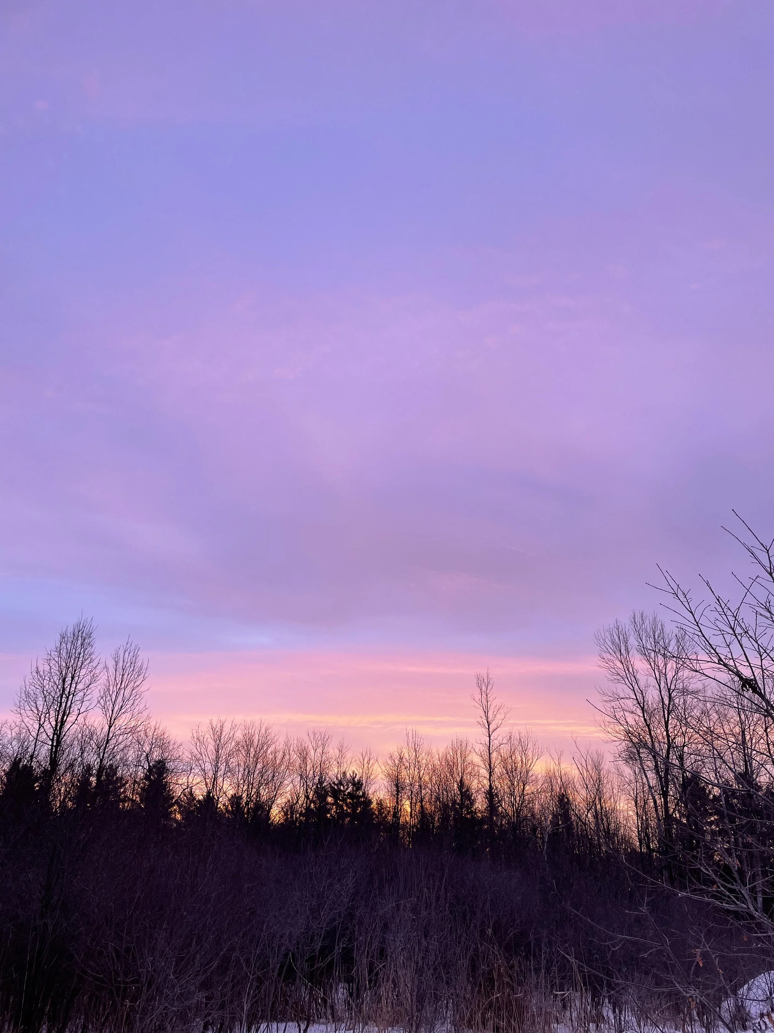 A sunset sky with shades of purple, pink, and orange, with bare trees at the horizon during winter.