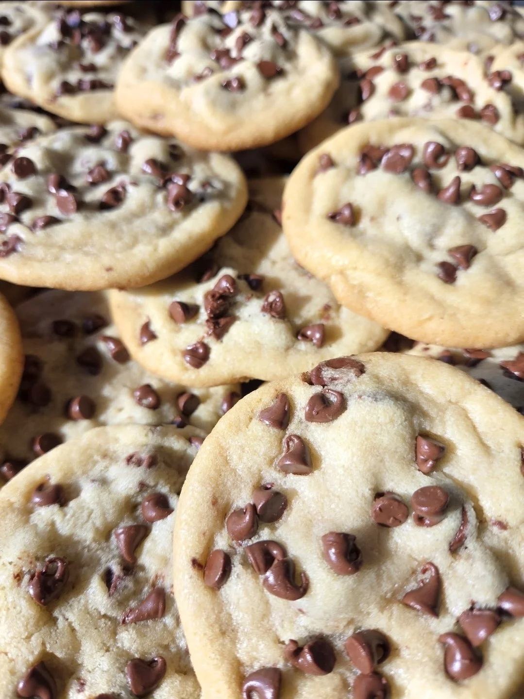 Chocolate Chip Cookie