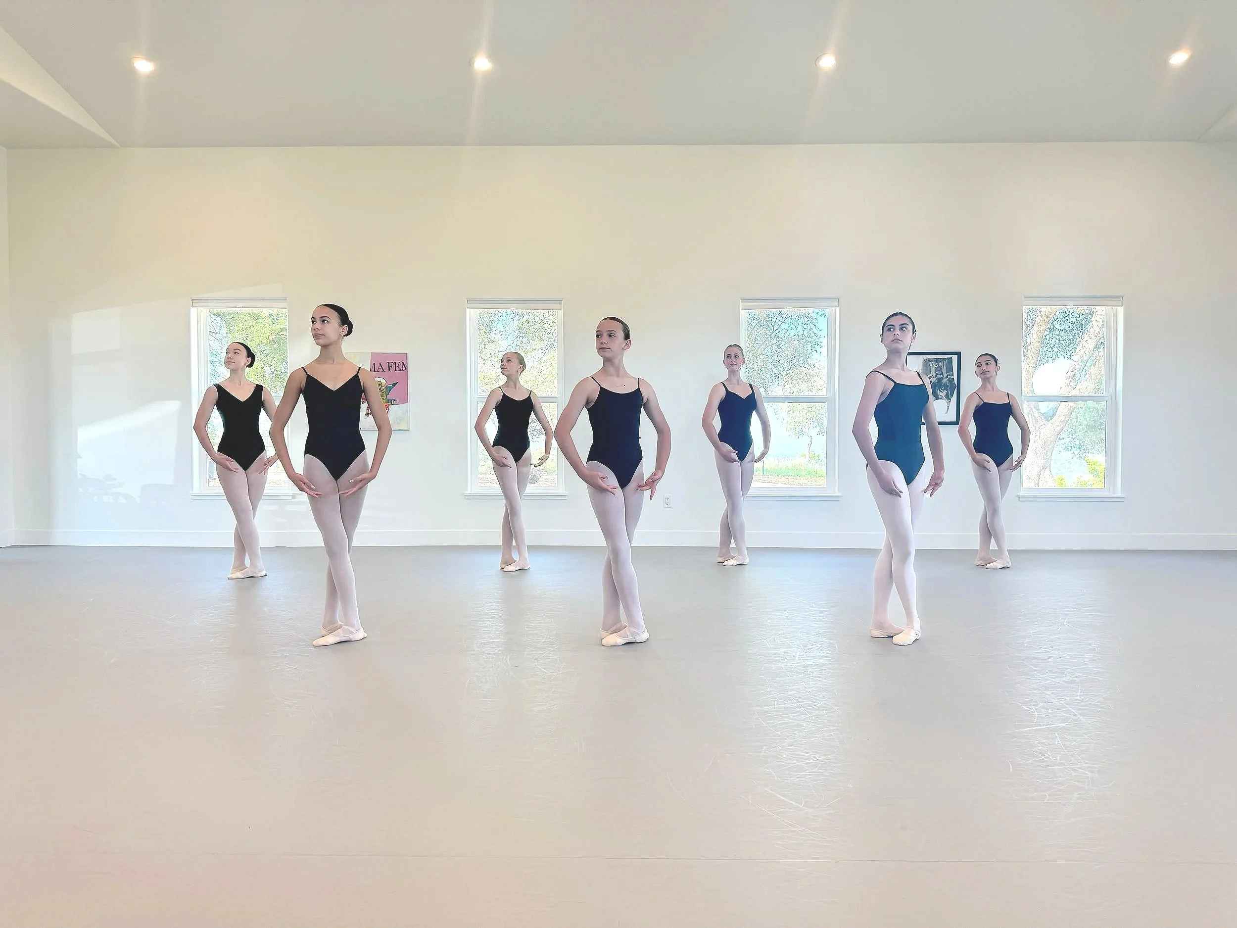 Advanced Ballet Classes